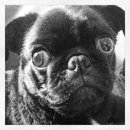 DeniniLenini's profile picture. Don't friend me and don't retweet me. I promise - nothing written here will be useful.