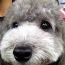 ARLETTY (@0314Very) Twitter