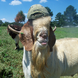 412Boers's profile picture. The America we all love is gone. The deep state has allowed our country to be invaded by foreigners. Retired veteran that loves freedom