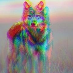 NewGenerationHi's profile picture. We're just the average new generation hippies. #weed #pot #marijuana #hippy #trippy #dank