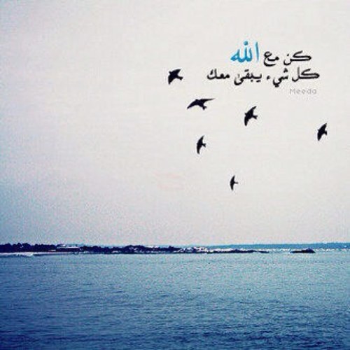 لا إلهَ إلاّ اللّهُ ♡ .. اللهم انا نستودعك قطر اميراً وشعباً ارضاً و سماء ...  استودعكم الله الذي لاتضيع ودائعه السموحه ان اخطيت بحق اي منكم .. خروج