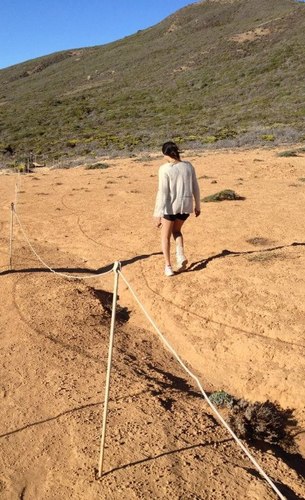 ansh_ika's profile picture. 