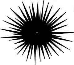 asteriskoox's profile picture. Typographical  glyph used to strike out portions of a word to avoid offending by using the full form of a profanity