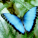 donna winn - @donnawinn4 - Twitter