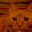 Patti McCabe - @PatterPitter - Twitter