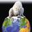 ginita2007's profile image