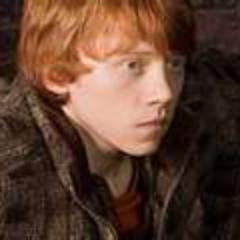 Hello!  :)  I Love One Direction, Harry Potter, Percy Jackson e Narnia!  :Þ