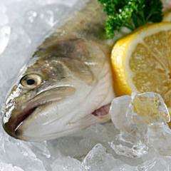 fish2enjoy's profile picture. Uw partner voor verse vis & vis delicatessen 

voor Retail - Restaurants - Hotels - Horeca - Particulier .
Passie voor vis & vis delicatessen