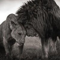 Ben Sandoval (@benjitsu) 's Twitter Profile