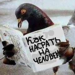 В Твиттере можно и заработать: http://t.co/Moc1tJeC
Умная раскрутка твиттера. :) http://t.co/7QljHb5L
Followback-читаю взаимно, фолловинг.