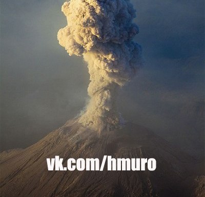 hmuroblog's profile picture. 