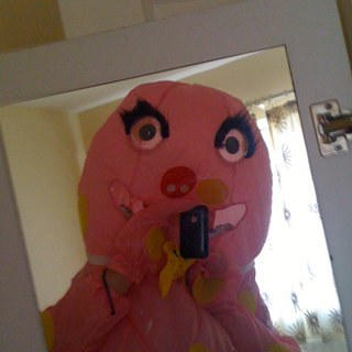 SeanTraynor5's profile picture. 25, Irish and living in Calgary, Canada 
'To be old & wise, you must first have to be young & stupid'