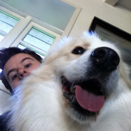 PixelWatching's profile picture. Loves (most of) this reality. Also a huge fan of app. 42 of the alternate ones. Playing with 2D and 3D art.