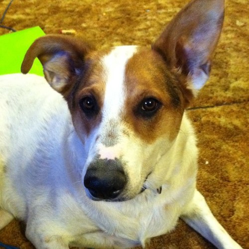 giraffenk7's profile picture. 