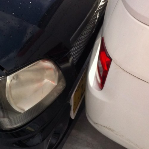 hal_digitalized's profile picture. 