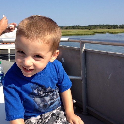 scava's profile picture. 