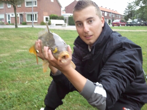 PeterRotte's profile picture. 