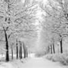 winter_$W@G! Onze tweets zijn RTbaar dus tweeten maar!! Follow voor leukste fotos ooit /Sinds 27-10-2012/ Op naar de 2OO.