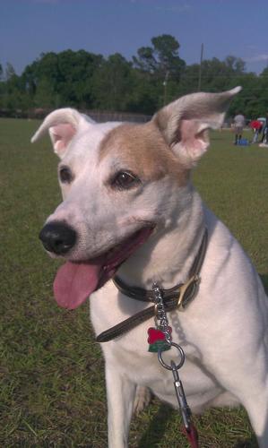 AnaRichmond0303's profile picture. Just me, trying to make it to payday