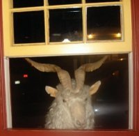 BBCPlymouth's profile picture. Serving the best brews from the UK and US.