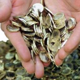 Zakcentjes's profile picture. Online geld verdienen door middel van mail lezen, enquêtes invullen, websites te bezoeken, spelletjes te spelen en vrienden of familieleden lid te maken.