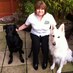 Barking Mad Dog Care Telford (@barkingmadanne) Twitter profile photo
