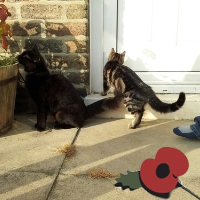 vml2778's profile picture. 