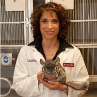 Dr. Laurie Hess(@DrLaurieHess) 's Twitter Profile Photo