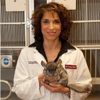 Dr. Laurie Hess (@drlauriehess) 's Twitter Profile