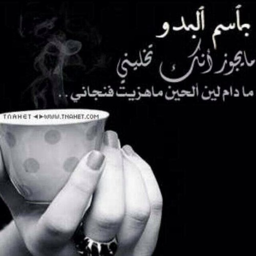 ndawya89's profile picture. باختصار . . . انا هنا ل ( البوح فقط ) .../