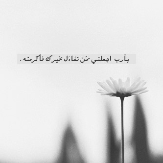 srmadeih's profile picture. يارب جنتك بلا حساب ولا سابق عذاب