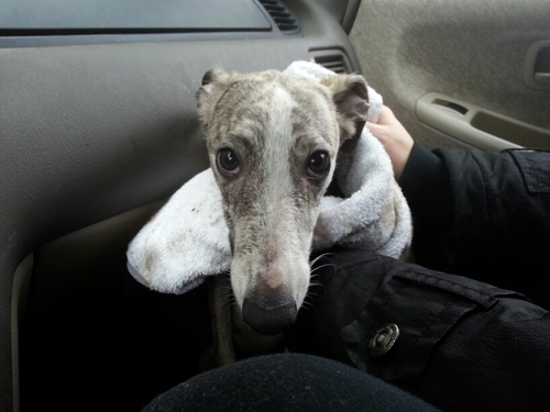 dksteph's profile picture. 