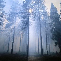 Innuendo007's profile picture. music producer -  / trance addicted - https://t.co/gCtMsiVkmG ; https://t.co/aAZPF7qSEe