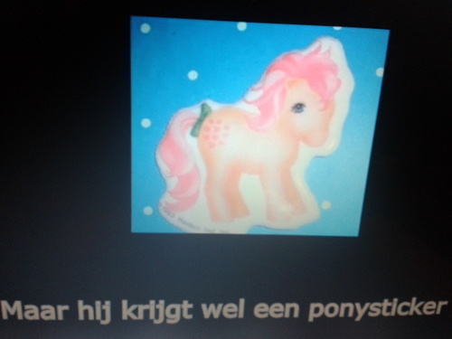 hoi
