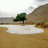 abdulaziz1408kh's profile image