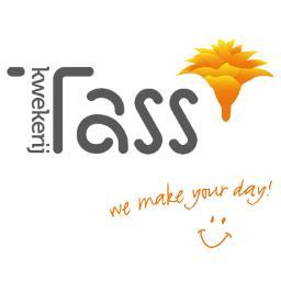 tasscrocata's profile picture. Kwekerij Tass is gespecialiseerd in het kweken van de schitterende Calathea Crocata Tassmania, Maravida, Ventura en de Tassminia.