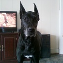 Gloria Morales - @GloryMorales982 - Twitter