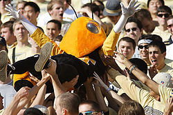 surajshahhh's profile picture. Putting the 'wit' in twitter.