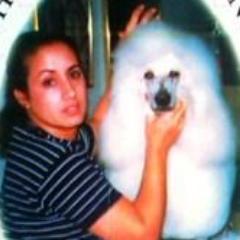 We are a full-service dog and cat grooming and boarding place. (305) 2799530/ (305) 807 6940.