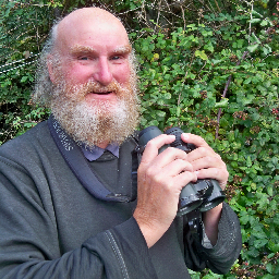 Finder of MEGA birds, RARE birds, SCARCE birds and DICKIE birds. Now leading guided wildlife tours with @naturebites.
