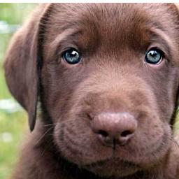 when you need something cute now! send your cute pictures to: cuteemergency@gmail.com