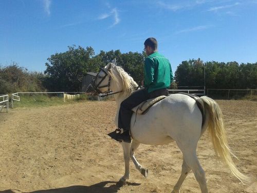 easaeus's profile picture. Programador en horas bajas con tendencia a perder el tiempo, libertino inconformista y republicano.¡Una joya vamos!