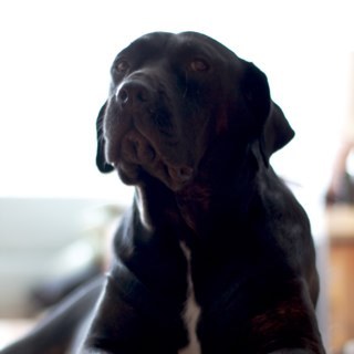 harleyricklin's profile picture. 