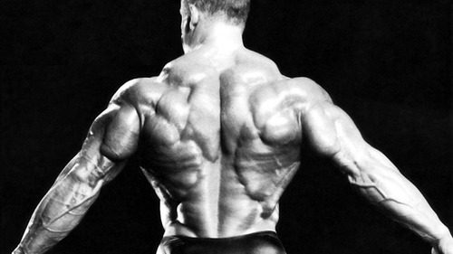It will hurt. It will take time. It will require commitment. It will require sacrifice. You will want to give up. But when you reach your goal. IT IS WORTH IT
