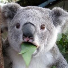 dmlogstasher's profile picture. 