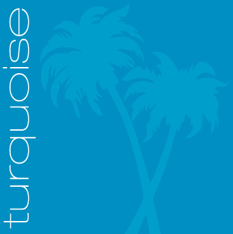 TurquoiseDidier Profile Picture