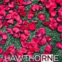 mirta rojas - @mirtarojas5 - Twitter