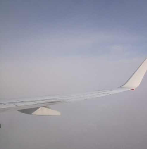 d_winton's profile picture. 