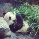 dave mcleod - @davemcleod3 - Twitter