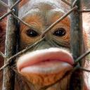 Jackson Roman - @JJacksonRZ - Twitter